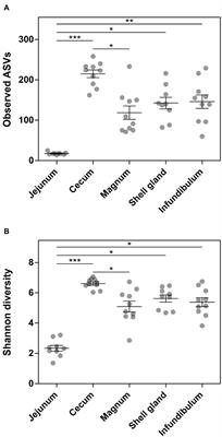 Large Overlap Between the Intestinal and Reproductive Tract Microbiomes of Chickens